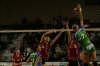 IMG_8153-Albi-Hainaut